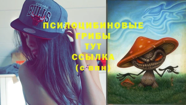 эйфоретик Армянск