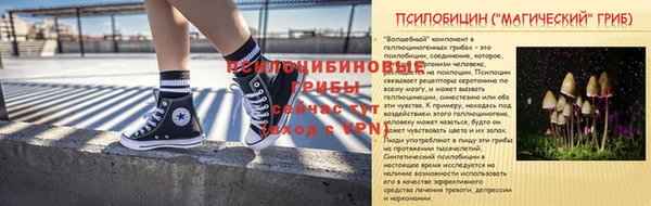 прущие крисы Арсеньев