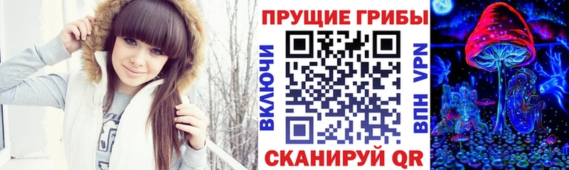 Псилоцибиновые грибы мицелий  купить   Нюрба 